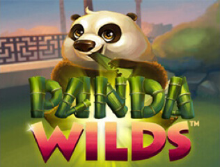Panda Wilds slot game